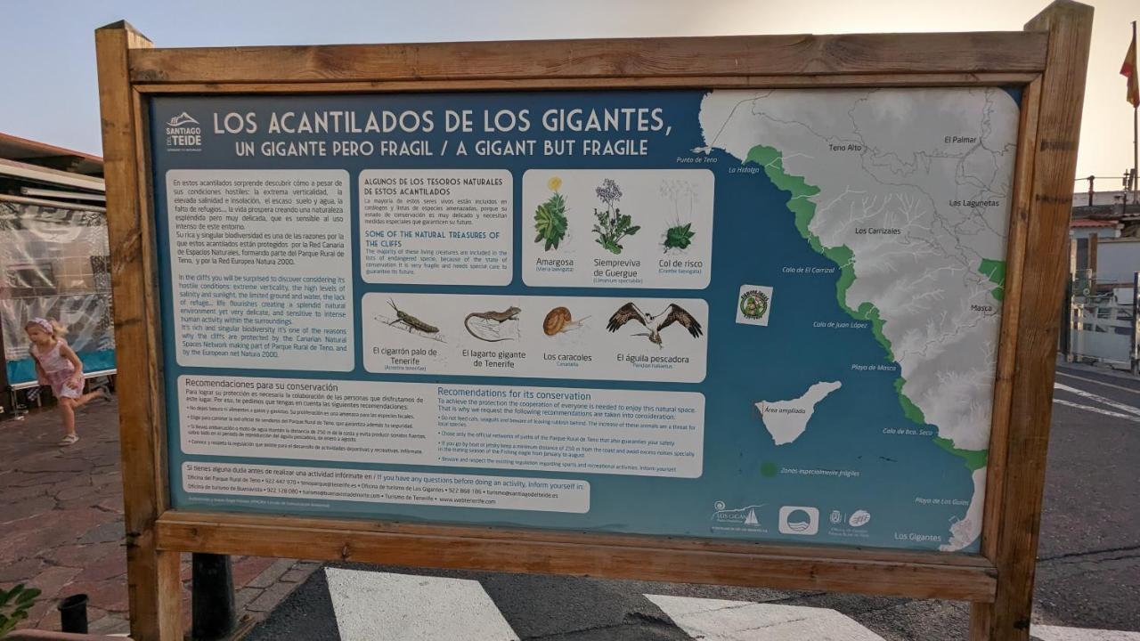 Concanas - Los Gigantes Centre Διαμέρισμα Acantilado de los Gigantes Εξωτερικό φωτογραφία